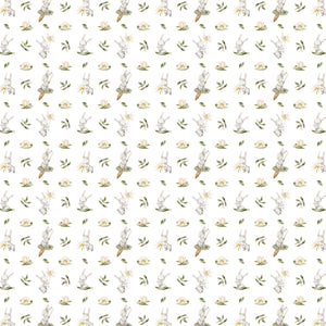 Swan Lake Paper 2