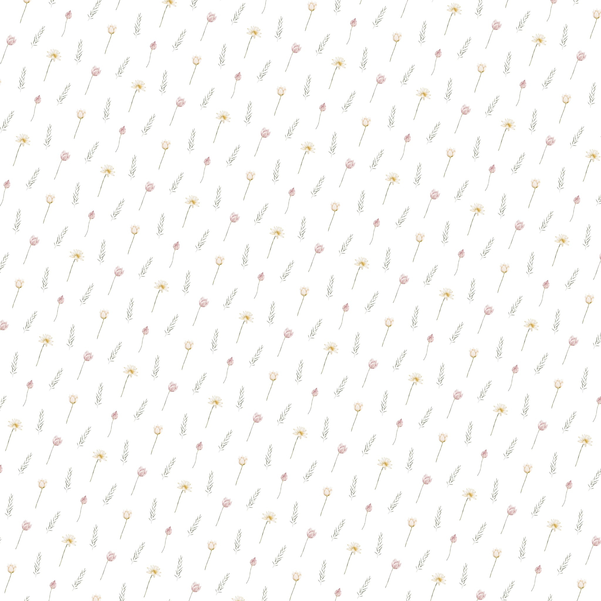 Swan Lake Paper 3