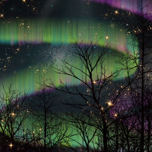 Northern Lights Forest Gloss Paper