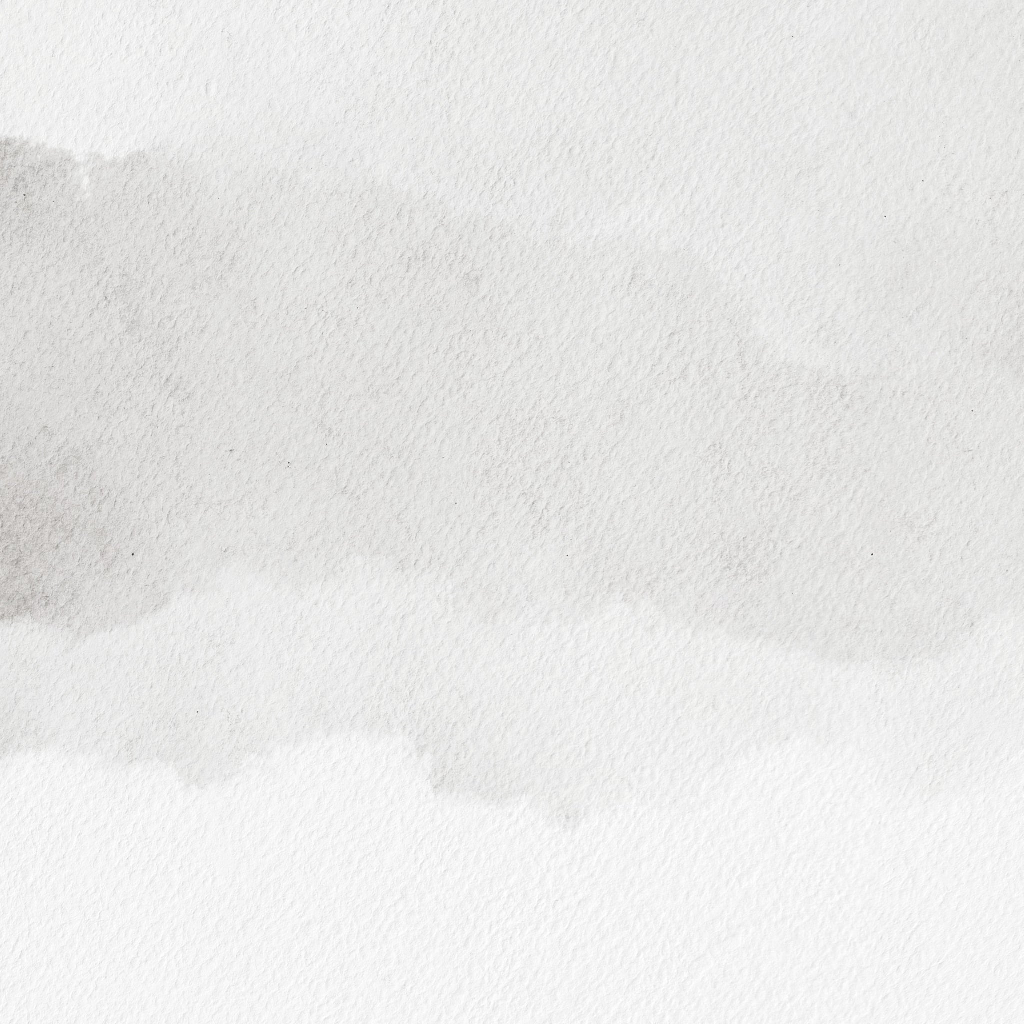Swan Lake Paper 6