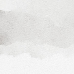 Swan Lake Paper 6