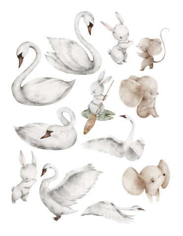 Swan Lake Critters Ephemera
