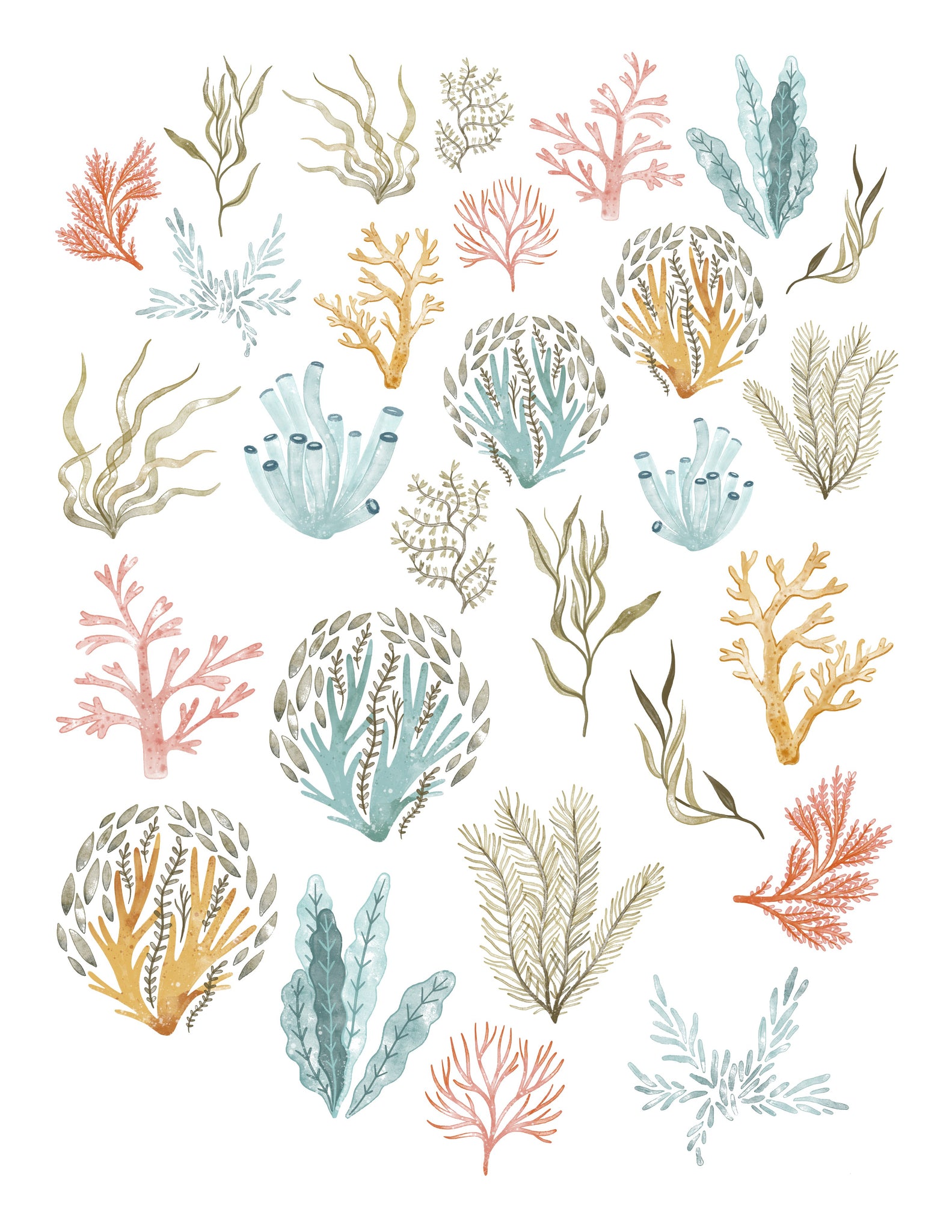 Seas The Day Coral Ephemera