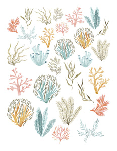 Seas The Day Coral Ephemera