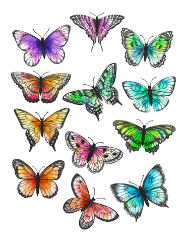 Butterflies Ephemera