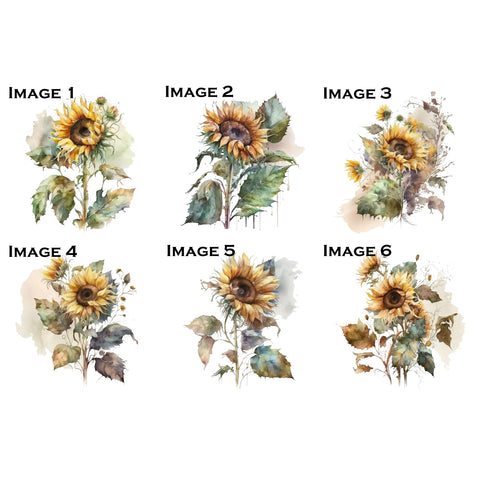 Sunflowers Watercolor Single XL Ephemera